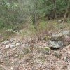 Evidence of house foundations at Sackville Reach Aboriginal Reserve
